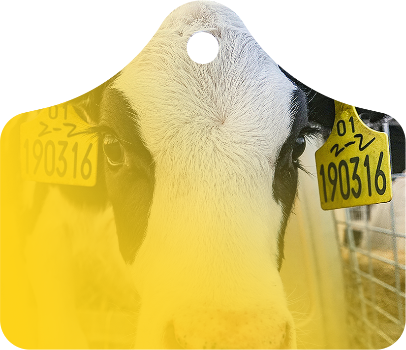 J9���Ρ����й���������Ϸ��һƷ��