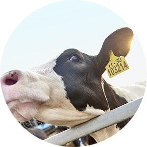 J9���Ρ����й���������Ϸ��һƷ��