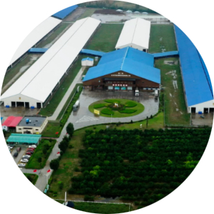 J9���Ρ����й���������Ϸ��һƷ��